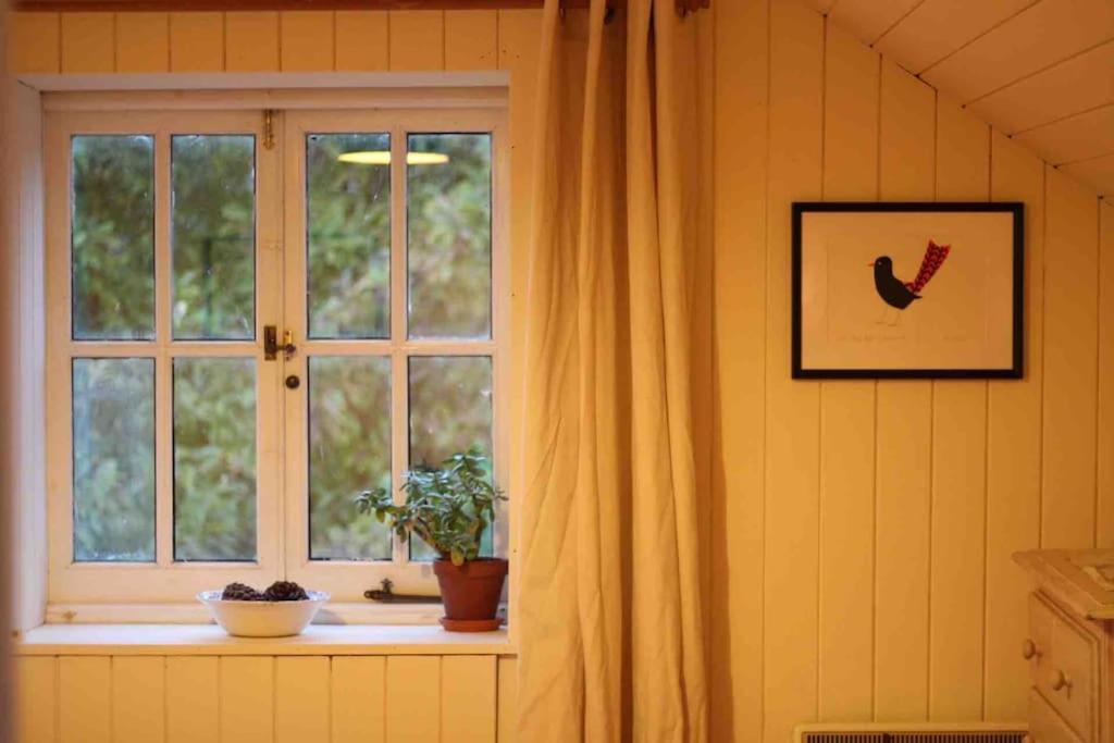 Trinity Annexe An Adorable First Floor Light And Lofty Space Within An Aonb Godmanstone Exterior foto