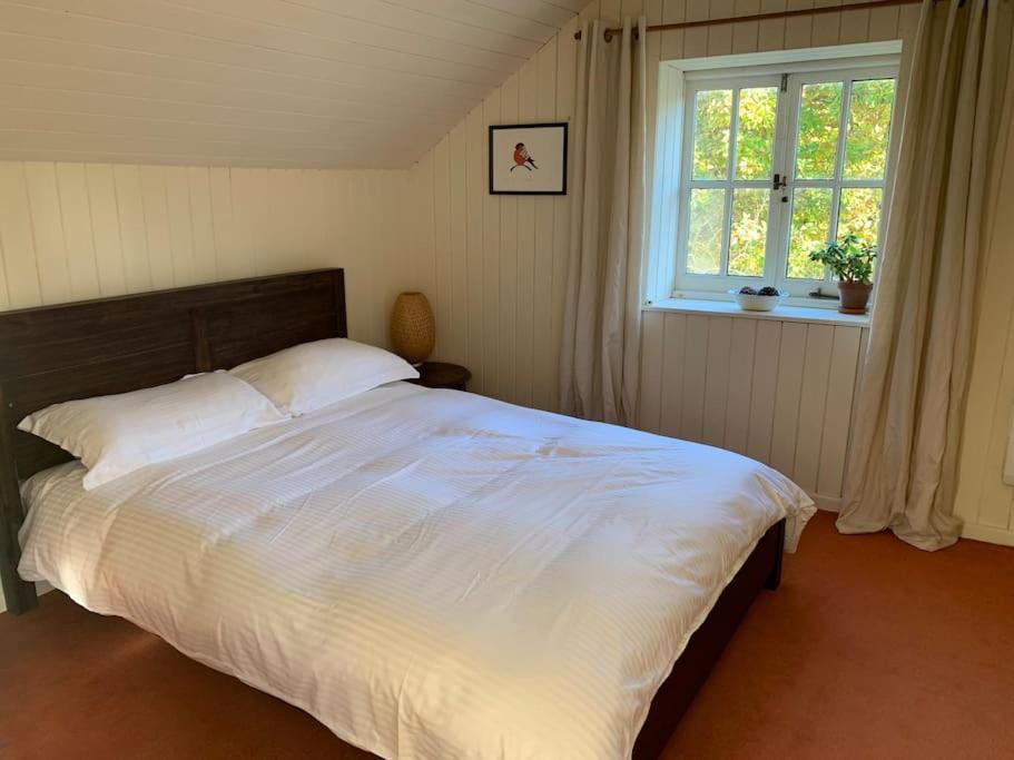 Trinity Annexe An Adorable First Floor Light And Lofty Space Within An Aonb Godmanstone Exterior foto
